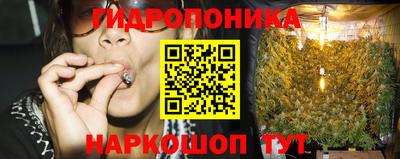 прущие грибы Лесосибирск