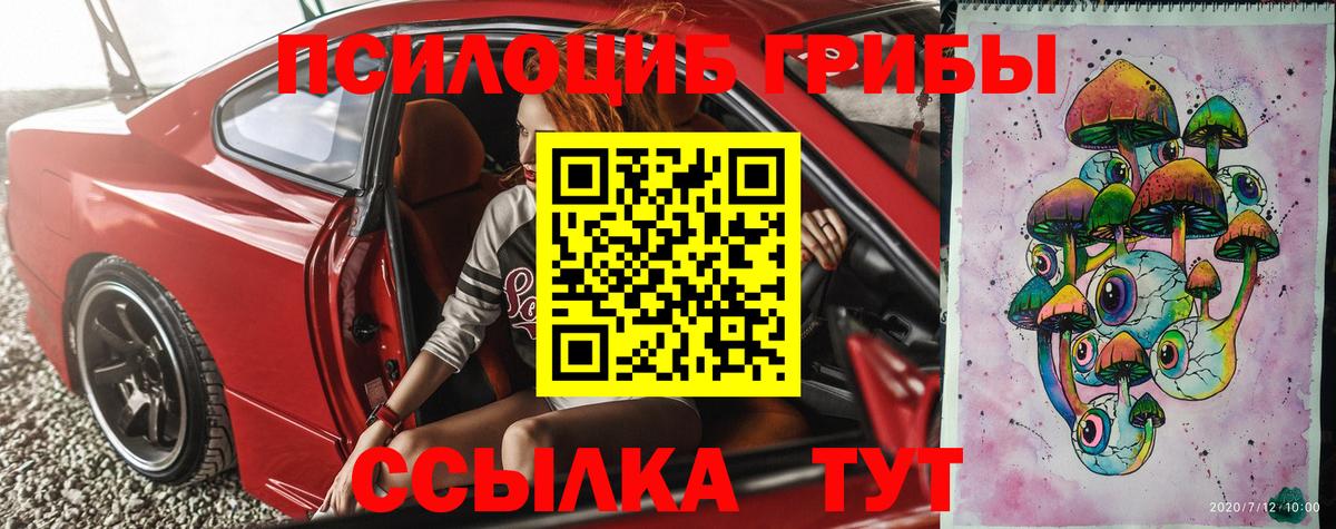 Галлюциногенные грибы Psilocybine cubensis Улан-Удэ