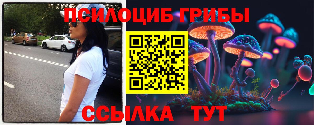 Галлюциногенные грибы Psilocybine cubensis  Вход с VPN  Псилоцибиновые грибы мухоморы  Улан-Удэ 
